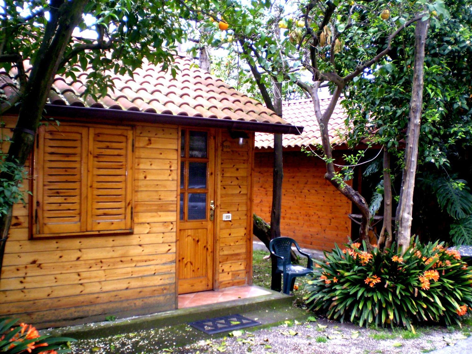 Economy Bungalow
