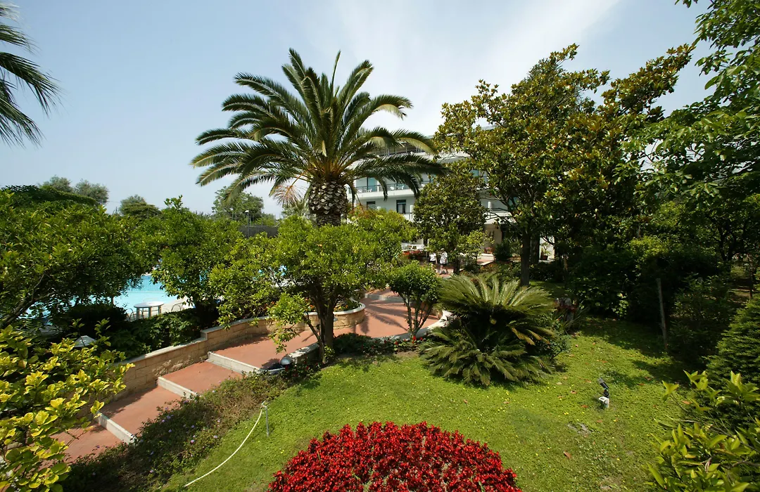 Hotel Alpha-1