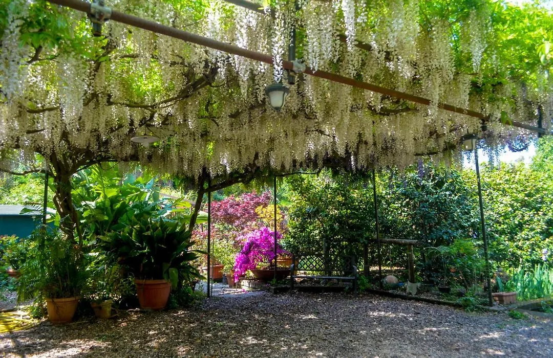 B&B Al Mare Sorrento-1
