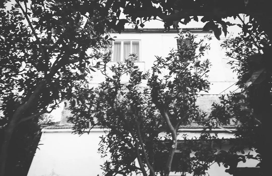 Villa Beatrice-1