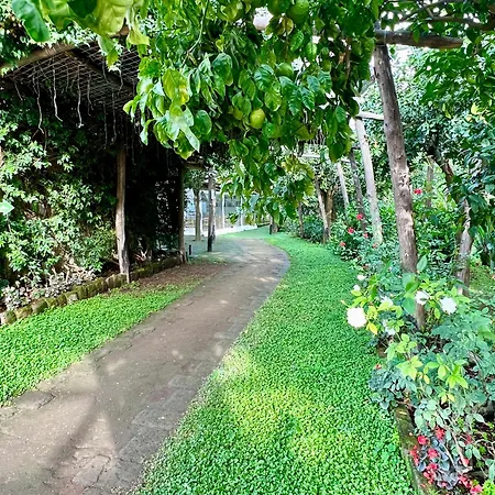 Relais Correale Rooms & Garden-2